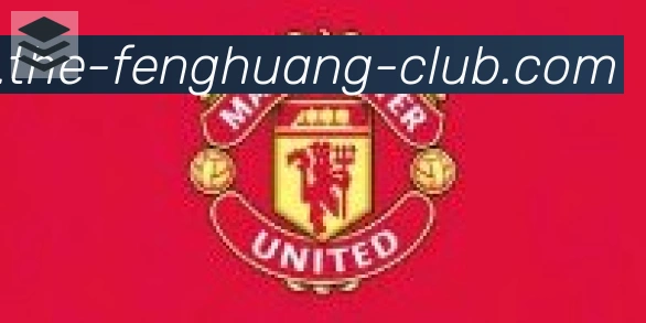 凤凰体育合作伙伴